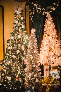 Decorated Christmas trees in Victoria Mansion
